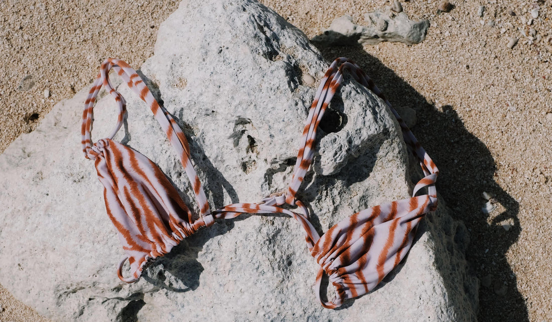 ACACIA Summer '23